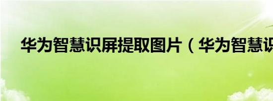 华为智慧识屏提取图片（华为智慧识屏）