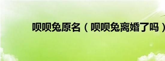 呗呗兔原名（呗呗兔离婚了吗）