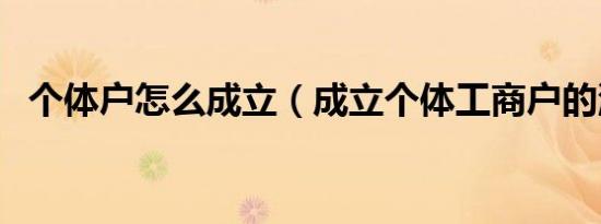 个体户怎么成立（成立个体工商户的流程）