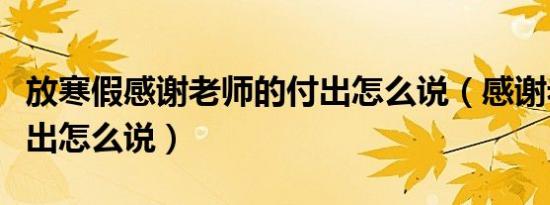 放寒假感谢老师的付出怎么说（感谢老师的付出怎么说）