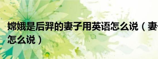 嫦娥是后羿的妻子用英语怎么说（妻子用英语怎么说）