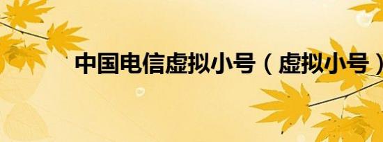 中国电信虚拟小号（虚拟小号）