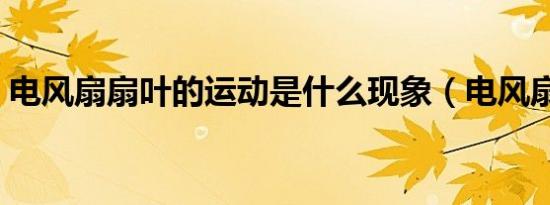 电风扇扇叶的运动是什么现象（电风扇扇叶）