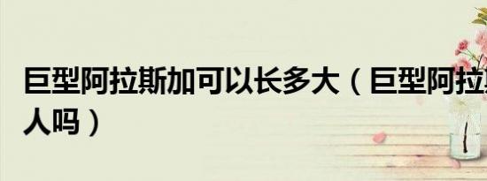 巨型阿拉斯加可以长多大（巨型阿拉斯加犬咬人吗）
