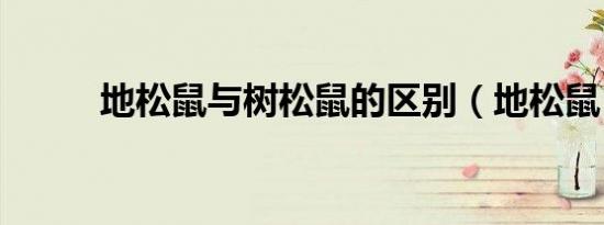 地松鼠与树松鼠的区别（地松鼠）