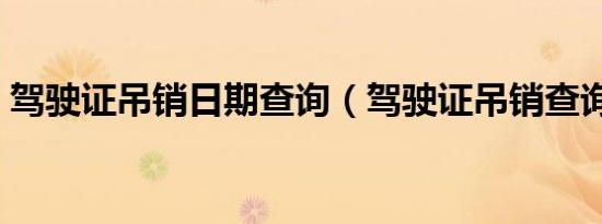 驾驶证吊销日期查询（驾驶证吊销查询网站）