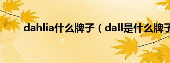 dahlia什么牌子（dall是什么牌子）