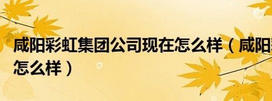 咸阳彩虹集团公司现在怎么样（咸阳彩虹集团怎么样）