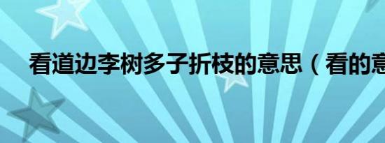 看道边李树多子折枝的意思（看的意思）