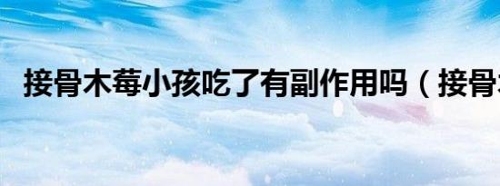 接骨木莓小孩吃了有副作用吗（接骨木莓）