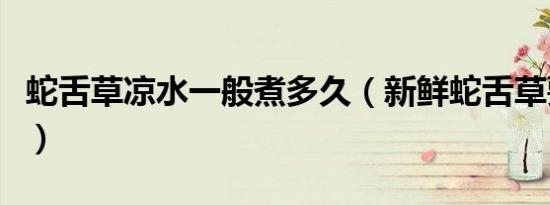 蛇舌草凉水一般煮多久（新鲜蛇舌草要煮多久）