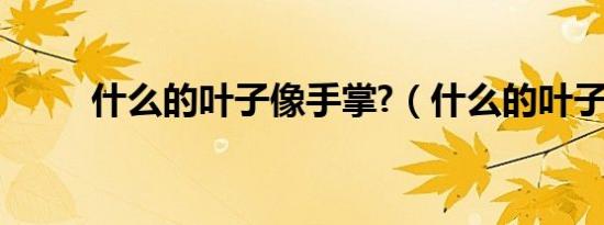 什么的叶子像手掌?（什么的叶子）