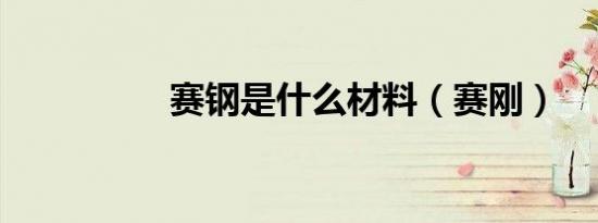 赛钢是什么材料（赛刚）