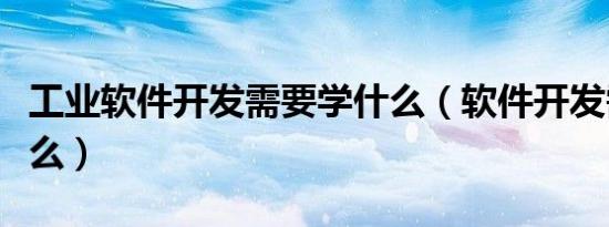 工业软件开发需要学什么（软件开发需要学什么）