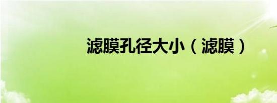 滤膜孔径大小（滤膜）