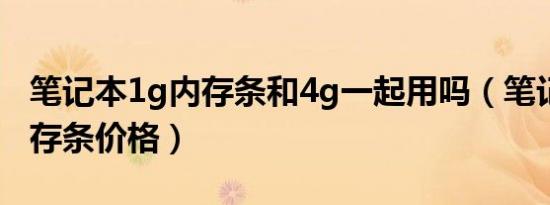 笔记本1g内存条和4g一起用吗（笔记本1g内存条价格）
