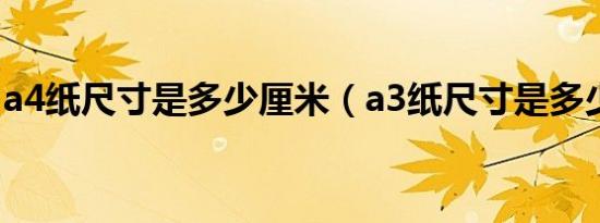 a4纸尺寸是多少厘米（a3纸尺寸是多少厘米）
