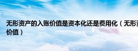 无形资产的入账价值是资本化还是费用化（无形资产的入账价值）