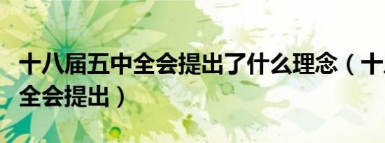 十八届五中全会提出了什么理念（十八届五中全会提出）