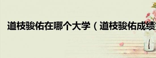 道枝骏佑在哪个大学（道枝骏佑成绩好吗）