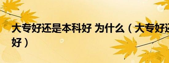 大专好还是本科好 为什么（大专好还是本科好）