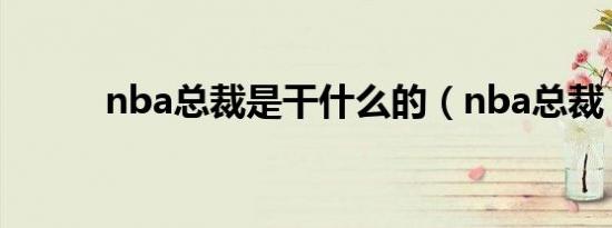 nba总裁是干什么的（nba总裁）