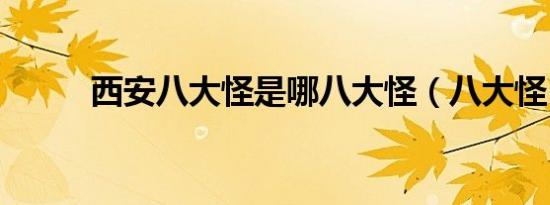 西安八大怪是哪八大怪（八大怪）