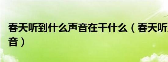 春天听到什么声音在干什么（春天听到什么声音）