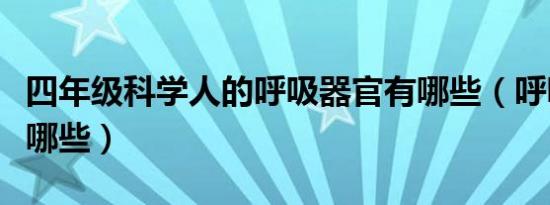 四年级科学人的呼吸器官有哪些（呼吸器官有哪些）