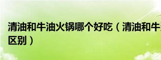 清油和牛油火锅哪个好吃（清油和牛油火锅的区别）