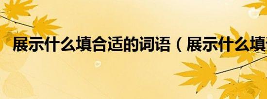 展示什么填合适的词语（展示什么填词语）
