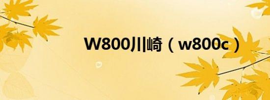 W800川崎（w800c）