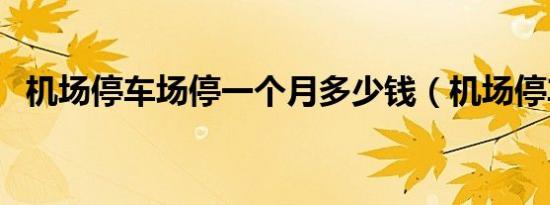 机场停车场停一个月多少钱（机场停车场）