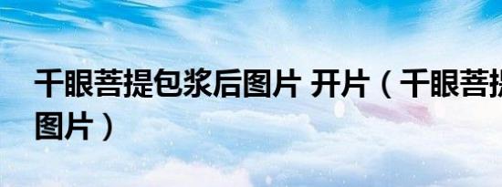 千眼菩提包浆后图片 开片（千眼菩提包浆后图片）