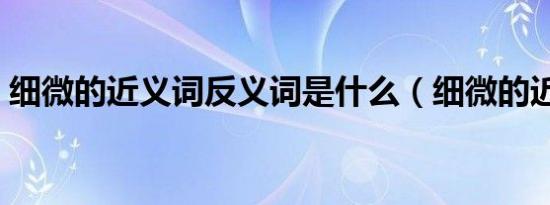 细微的近义词反义词是什么（细微的近义词）