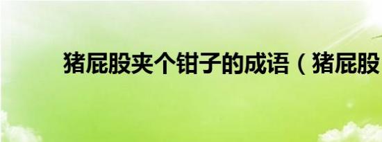 猪屁股夹个钳子的成语（猪屁股）