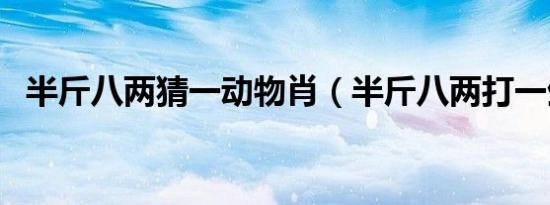 半斤八两猜一动物肖（半斤八两打一生肖）