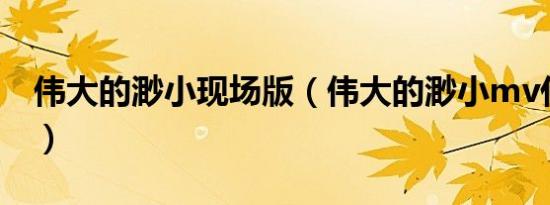 伟大的渺小现场版（伟大的渺小mv什么意思）