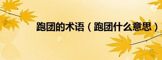 跑团的术语（跑团什么意思）
