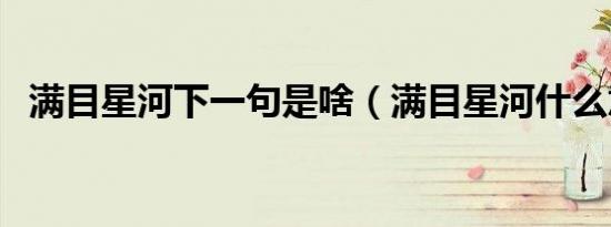 满目星河下一句是啥（满目星河什么意思）