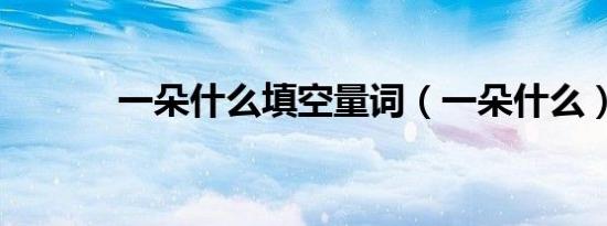 一朵什么填空量词（一朵什么）