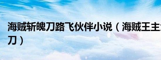 海贼斩魄刀路飞伙伴小说（海贼王主角用斩魄刀）