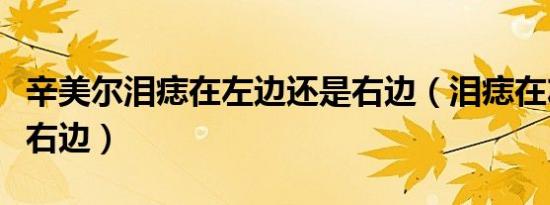 辛美尔泪痣在左边还是右边（泪痣在左边还是右边）