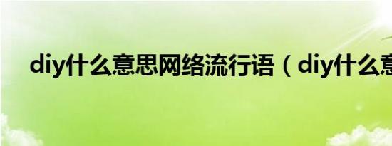 diy什么意思网络流行语（diy什么意思）