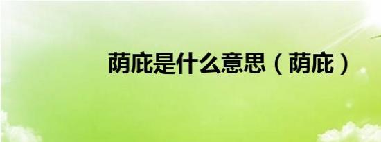 荫庇是什么意思（荫庇）