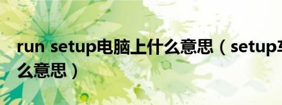 run setup电脑上什么意思（setup车上指什么意思）