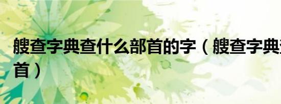 艘查字典查什么部首的字（艘查字典查什么部首）