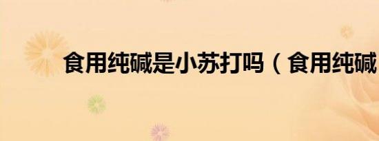 食用纯碱是小苏打吗（食用纯碱）