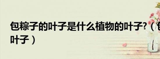 包粽子的叶子是什么植物的叶子?（包粽子的叶子）