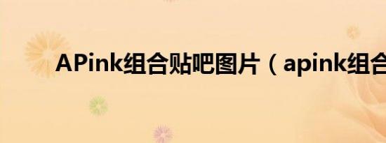 APink组合贴吧图片（apink组合）